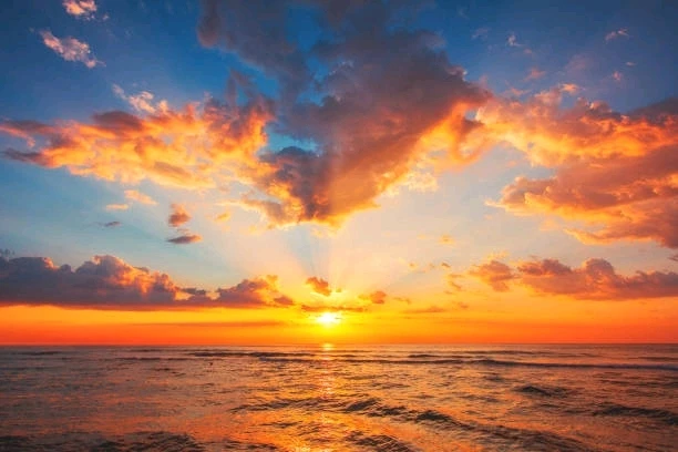 Image uploaded by Aahil