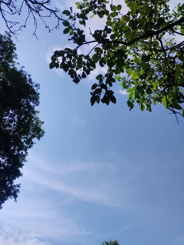 Imagem enviada por Neemis