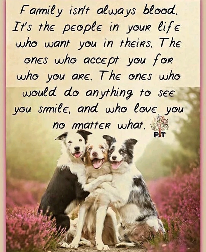 Image uploaded by Nina