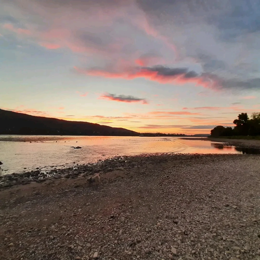 Image uploaded by Eddy