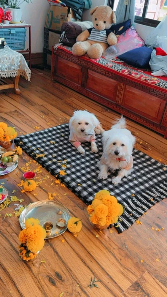 Image uploaded by Sassy Panda