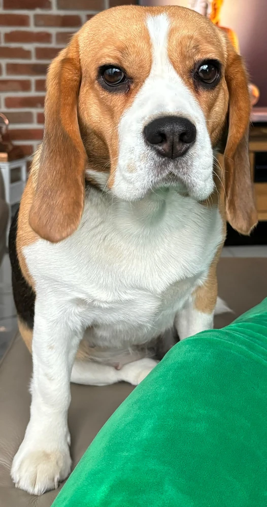 Image uploaded by Hanna