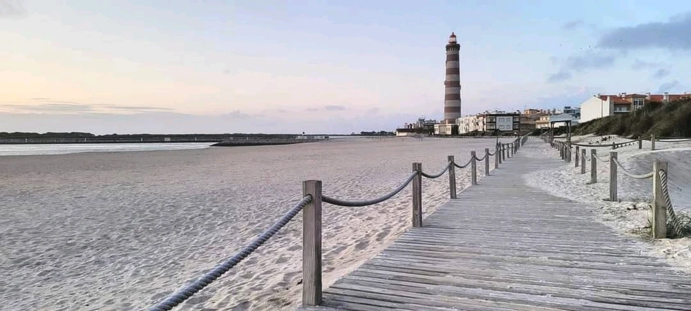 Image uploaded by Paulo Jorge Cruz Almeida