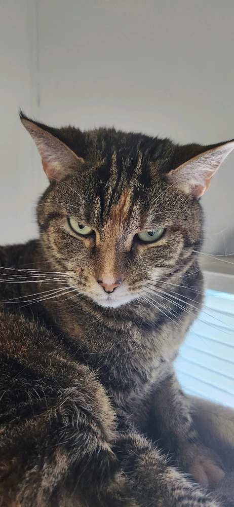 Gambar diunggah dening Andrew