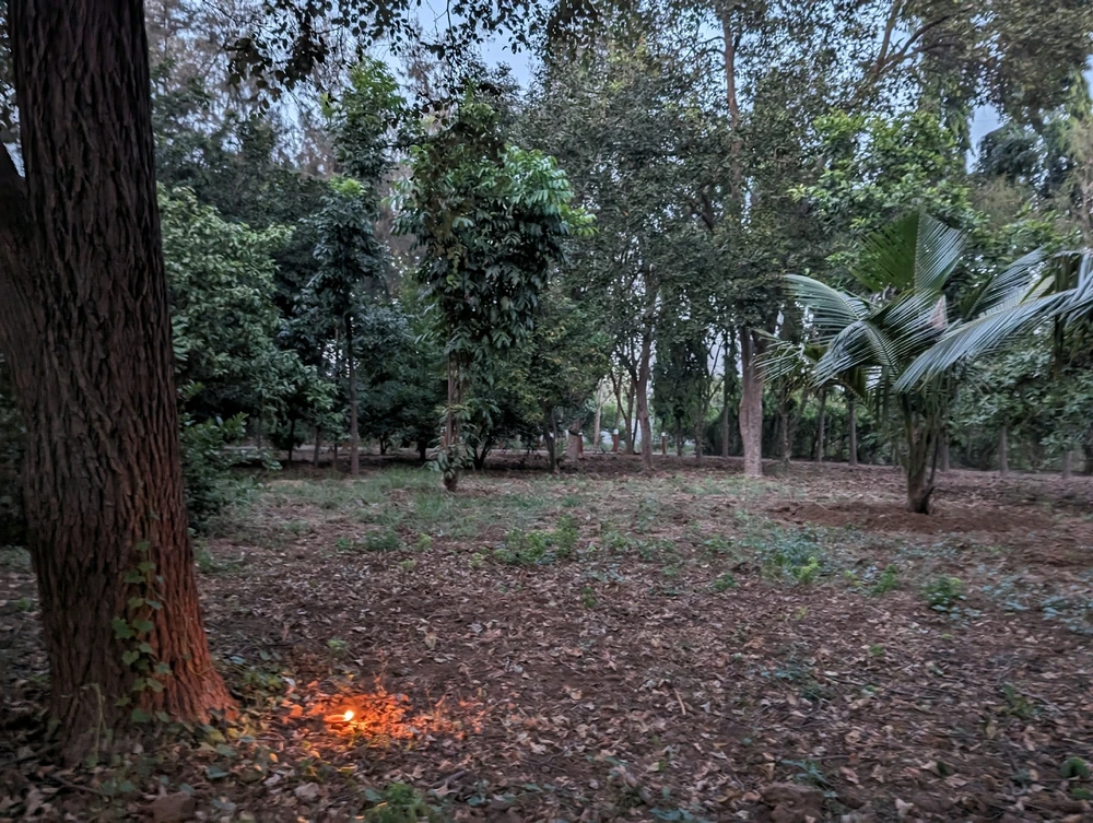 Image uploaded by Vanshika Garg