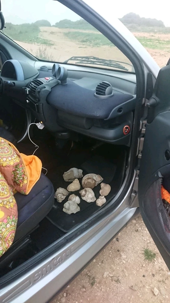 Gambar diunggah dening Rui