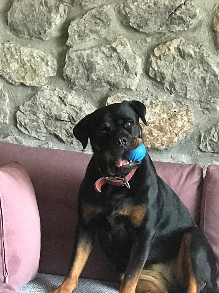 MTn tarafından yüklenen görsel