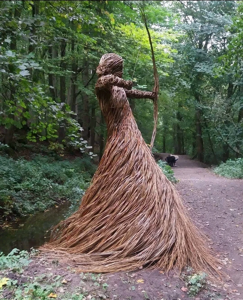 Image ajoutée par Dorian🐞