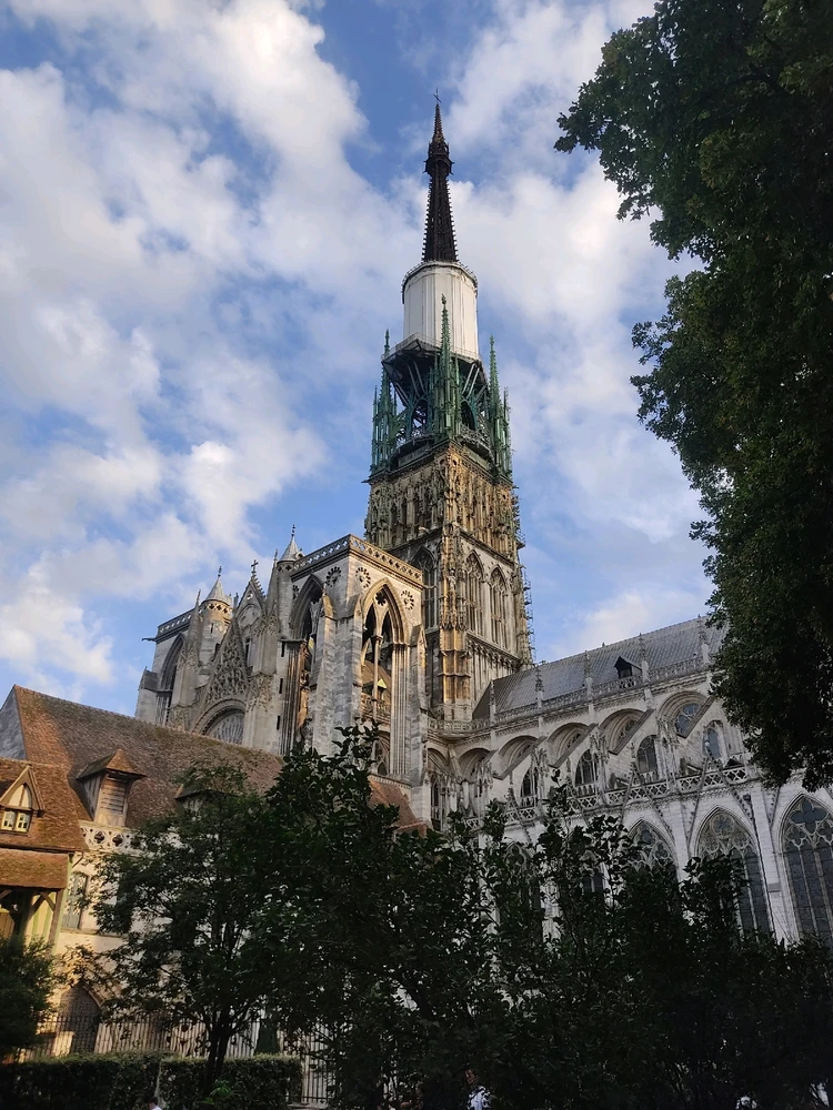 Image uploaded by Saurav Singh