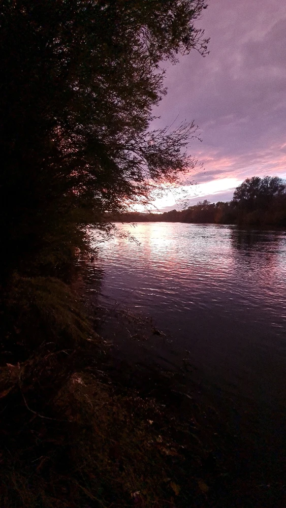 Image ajoutée par bruce