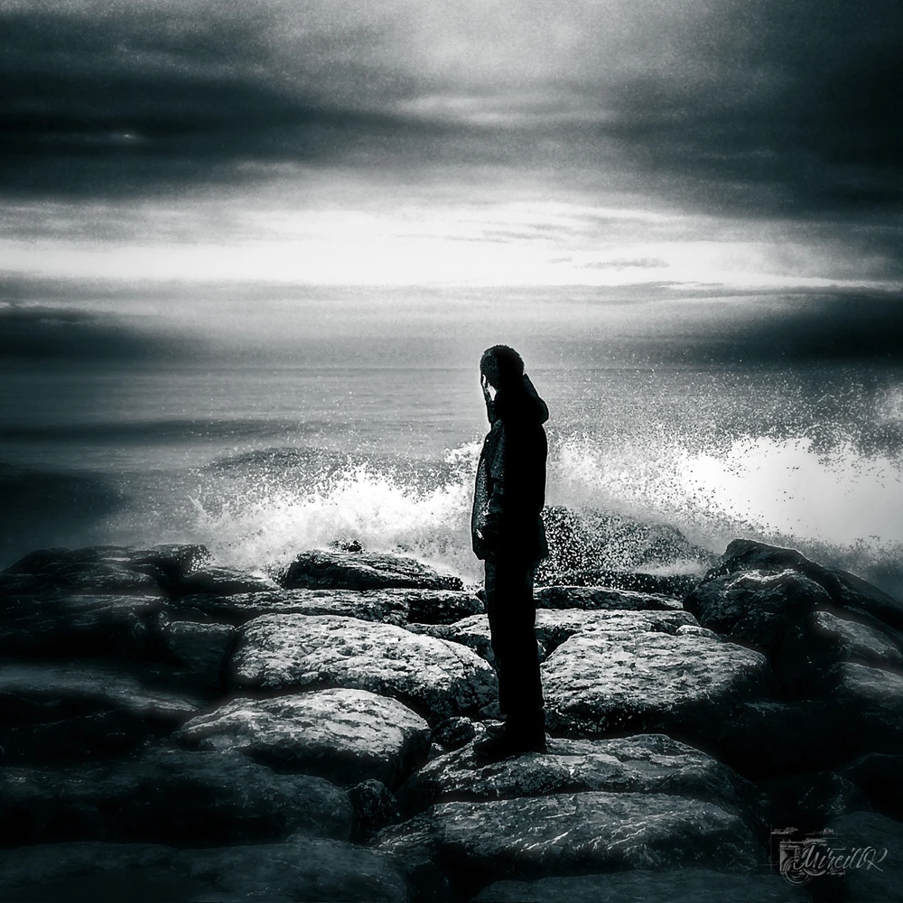 Image ajoutée par Mireill