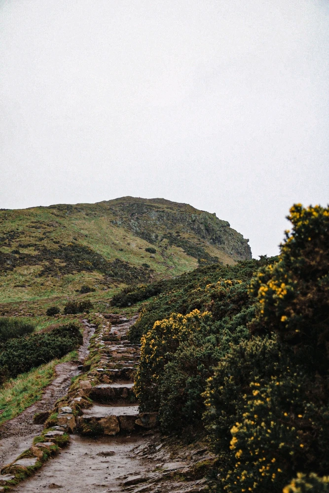 Image uploaded by Mads