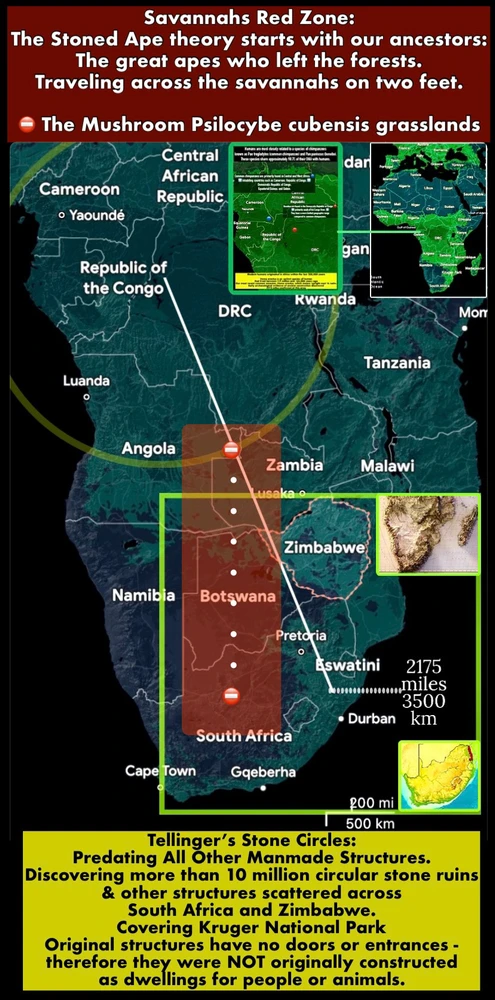 Image uploaded by Ford Davies