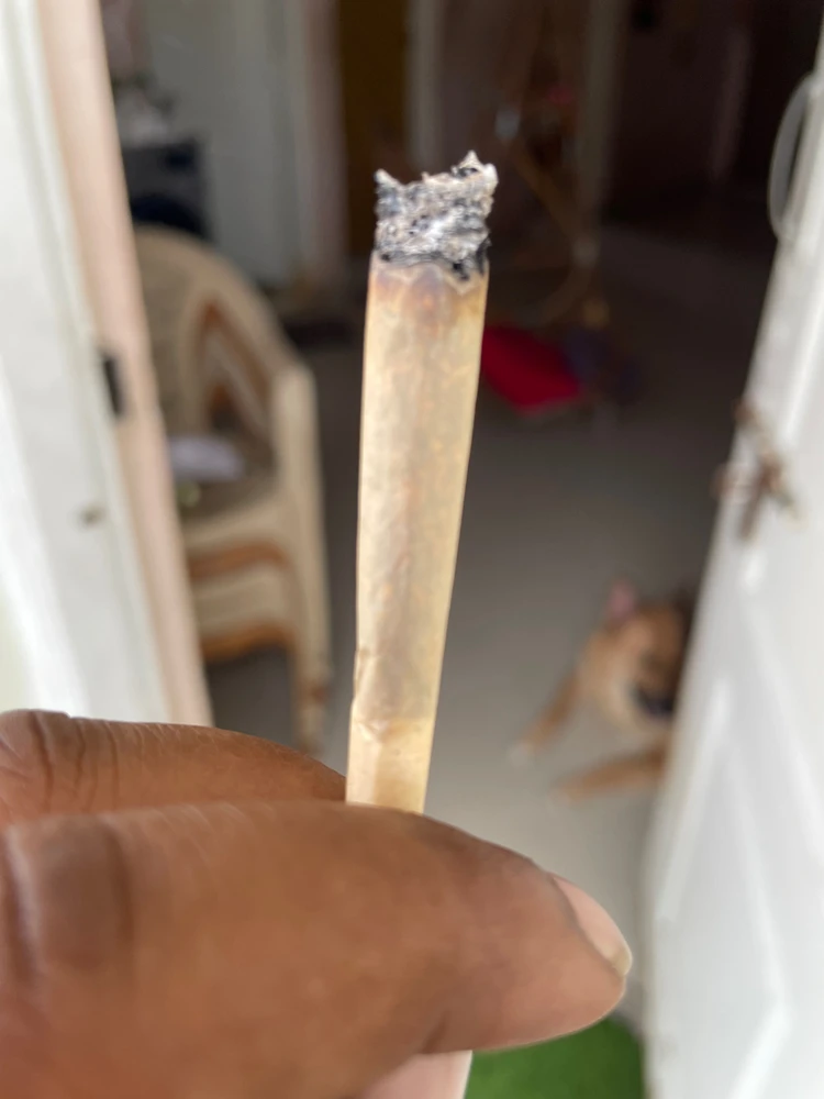 MHL上傳的圖片