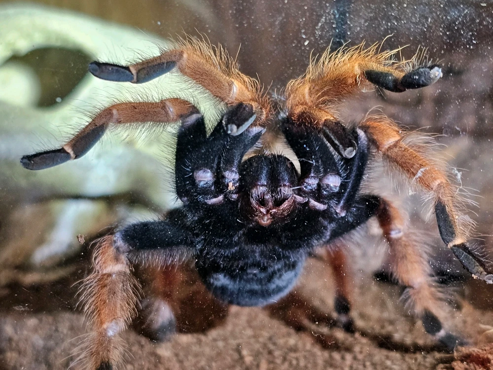 Image uploaded by Steve