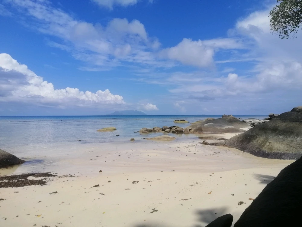 Image uploaded by Dawan