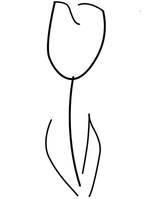 Drawing of a tulip