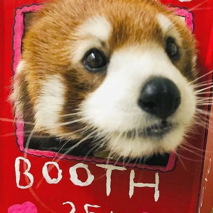 Image uploaded by Charles