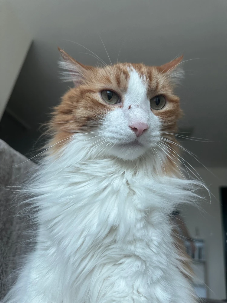 Imagen subida por Stephanie