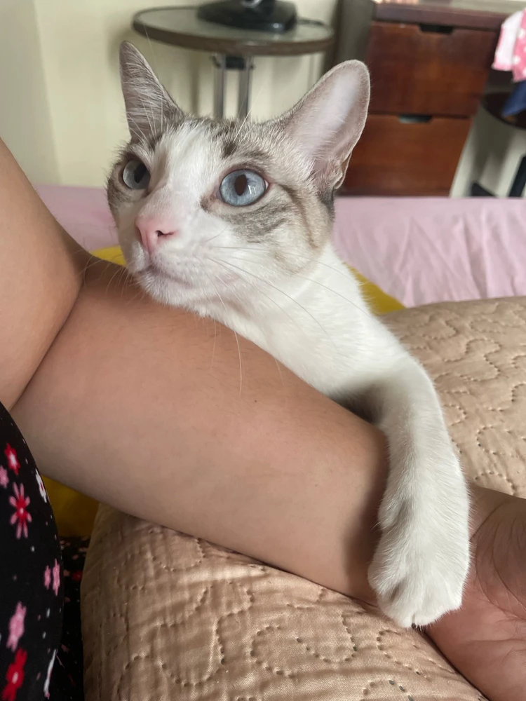 Imagem enviada por Dayane