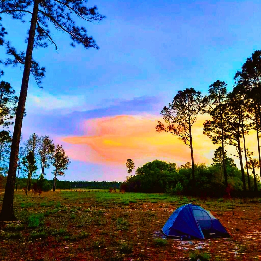 Image uploaded by Omar