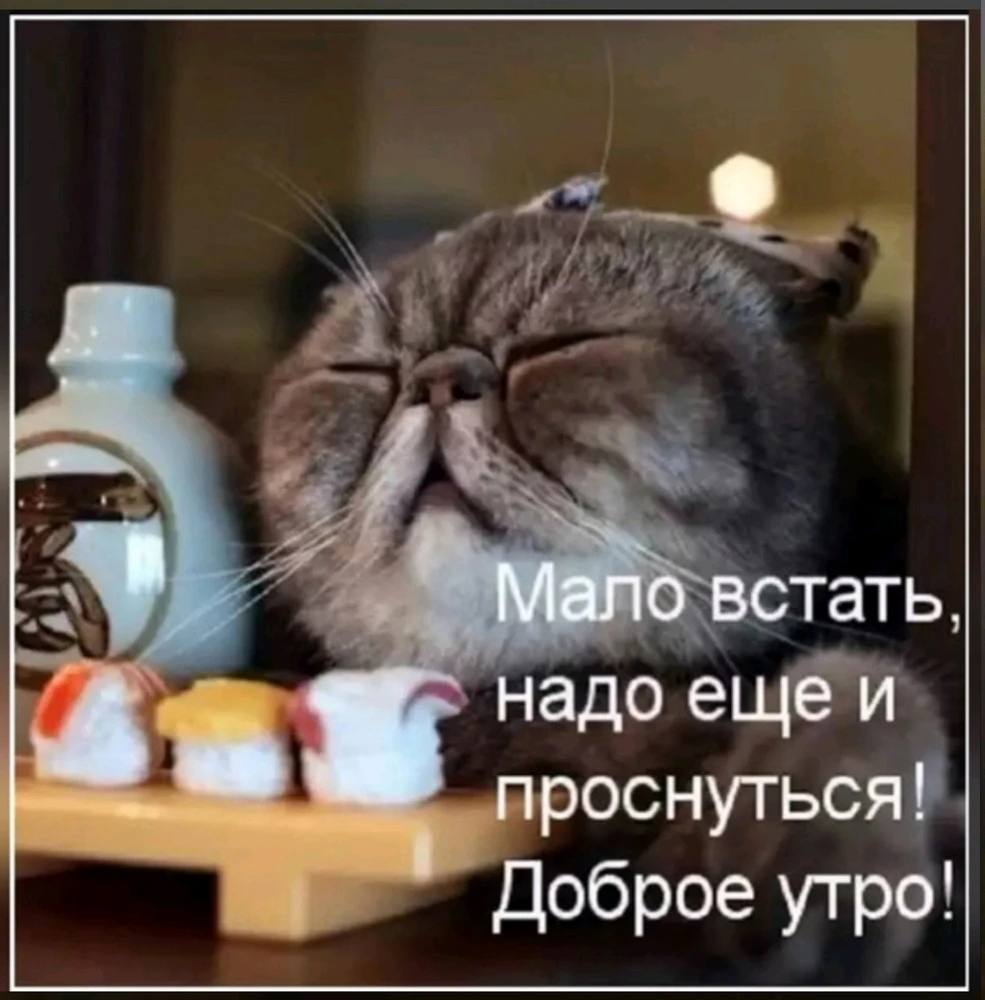 Фото загрузил Карина