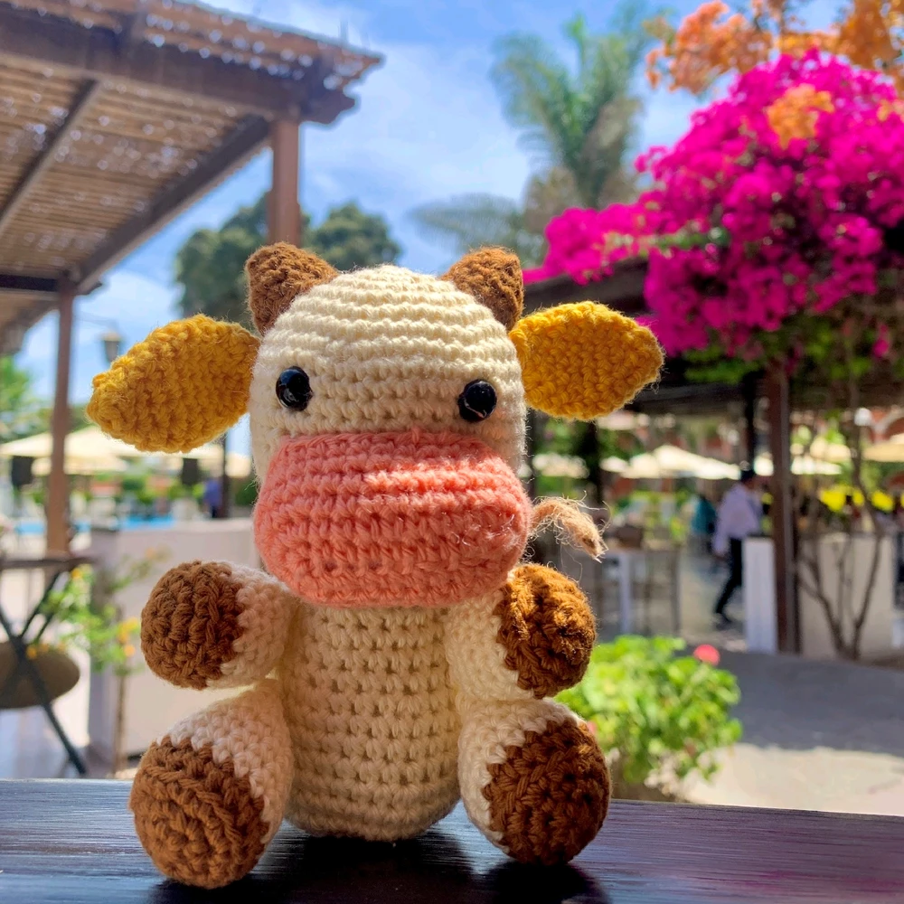 Image uploaded by Massaro