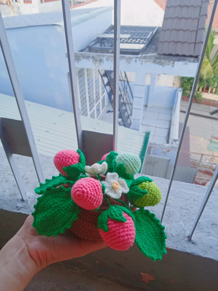 Ảnh do Ngọc Hiệp tải lên