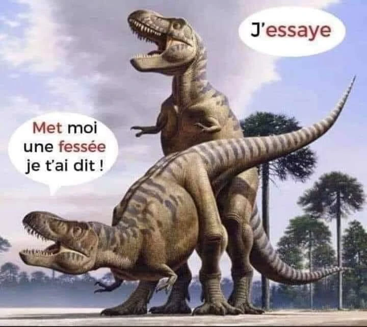 Un ptit peu d'humour en cette période morose pour beaucoup de monde