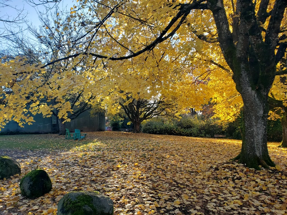 Image uploaded by ๐๐ฃ. BLAH