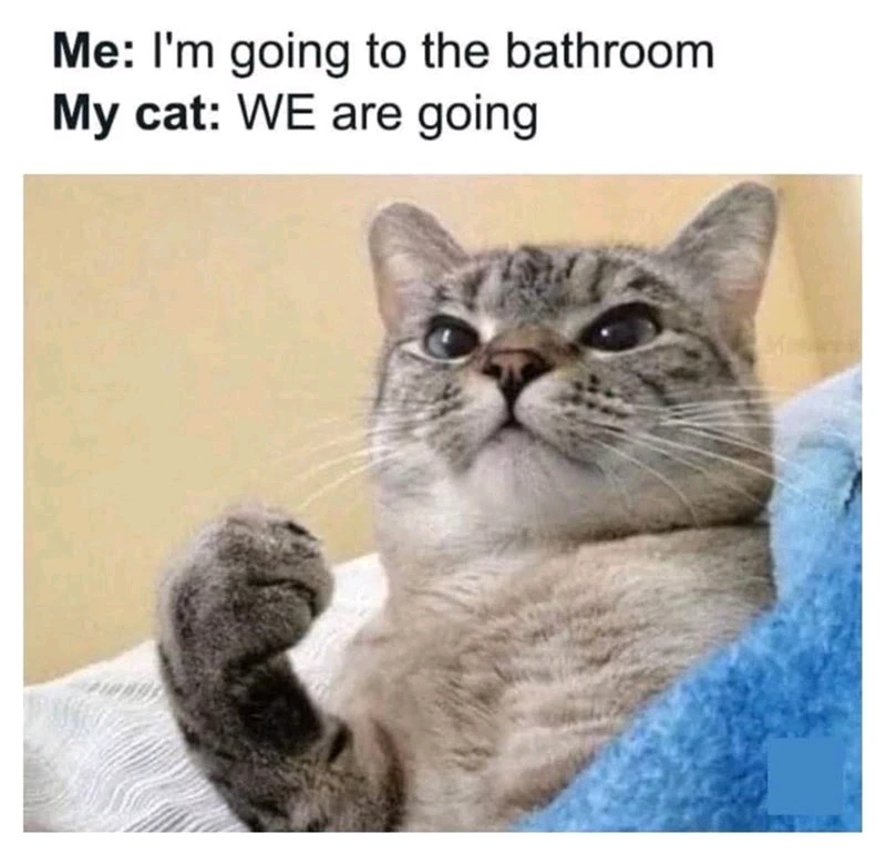 Imagem enviada por Gabi