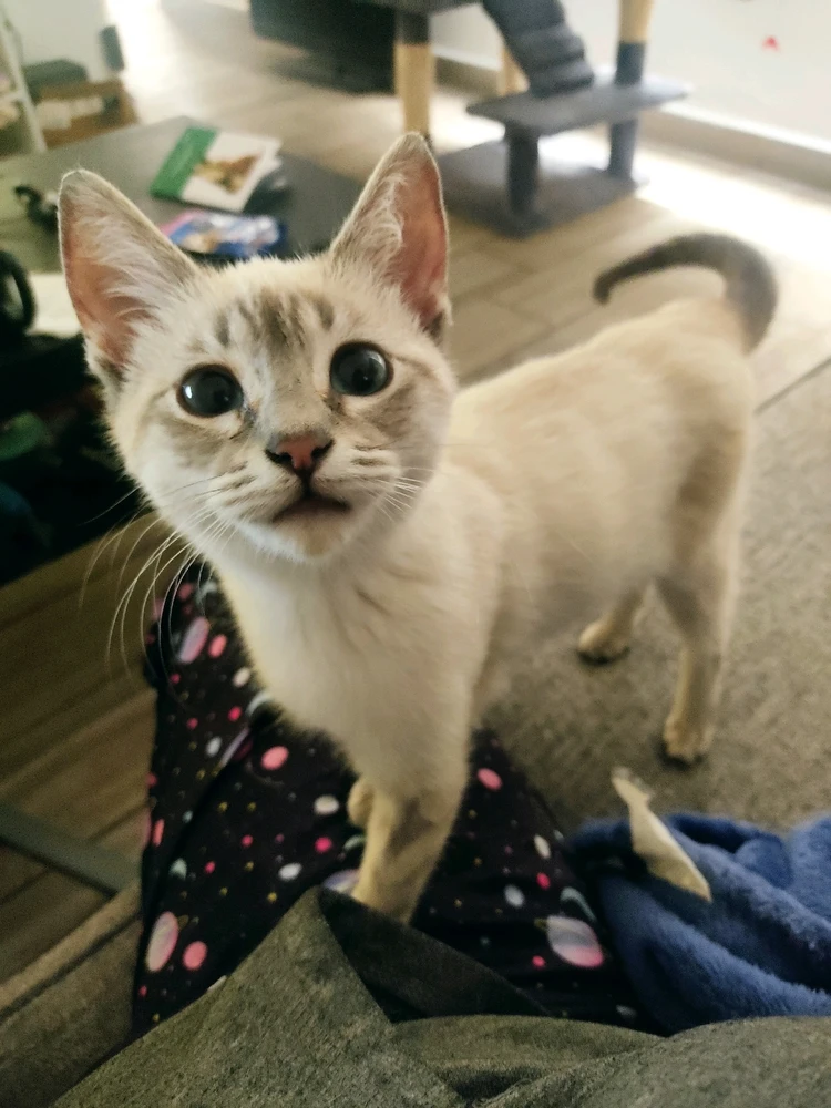 Image uploaded by Maybe