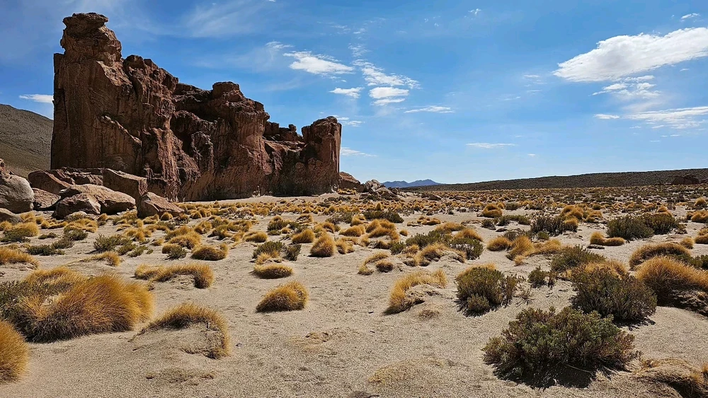 Imagen subida por Jota D