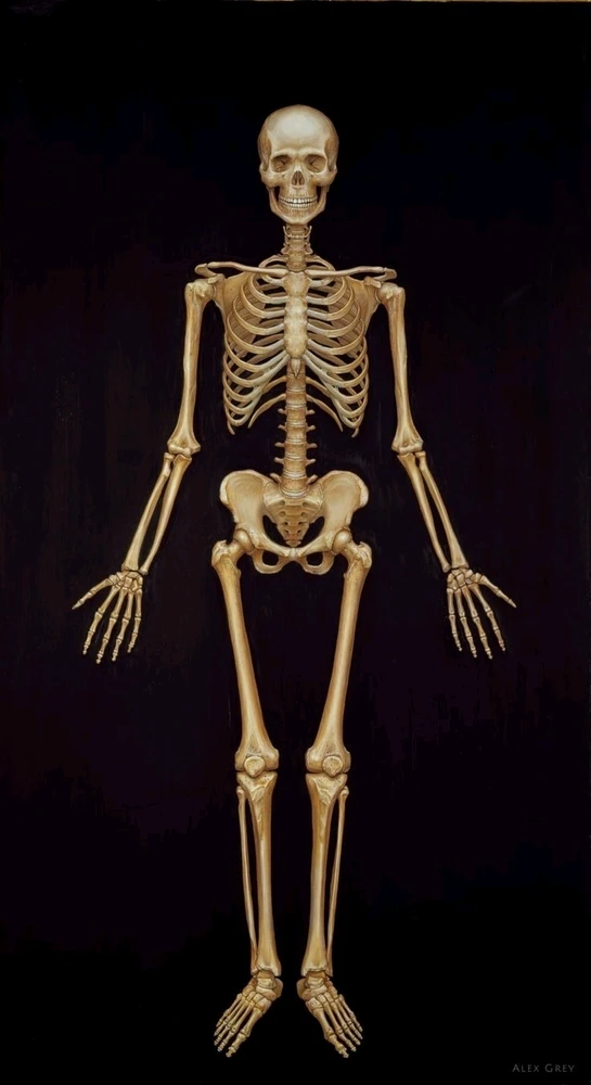 Image uploaded by Arz