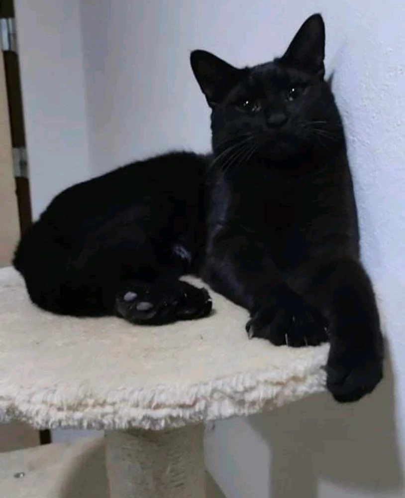 Obrázek nahrál Michael Čermák