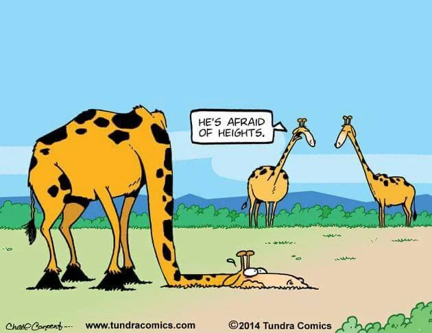 Image uploaded by Mademoiselle Amy