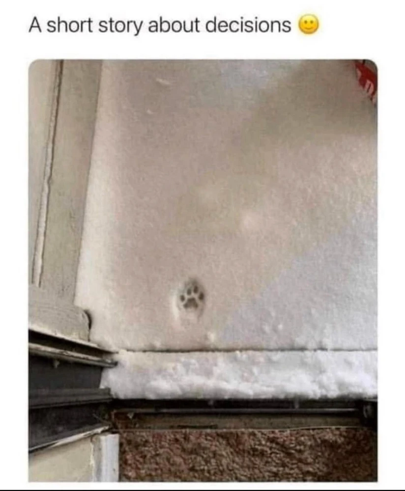 Zdjęcie dodane przez Staszek