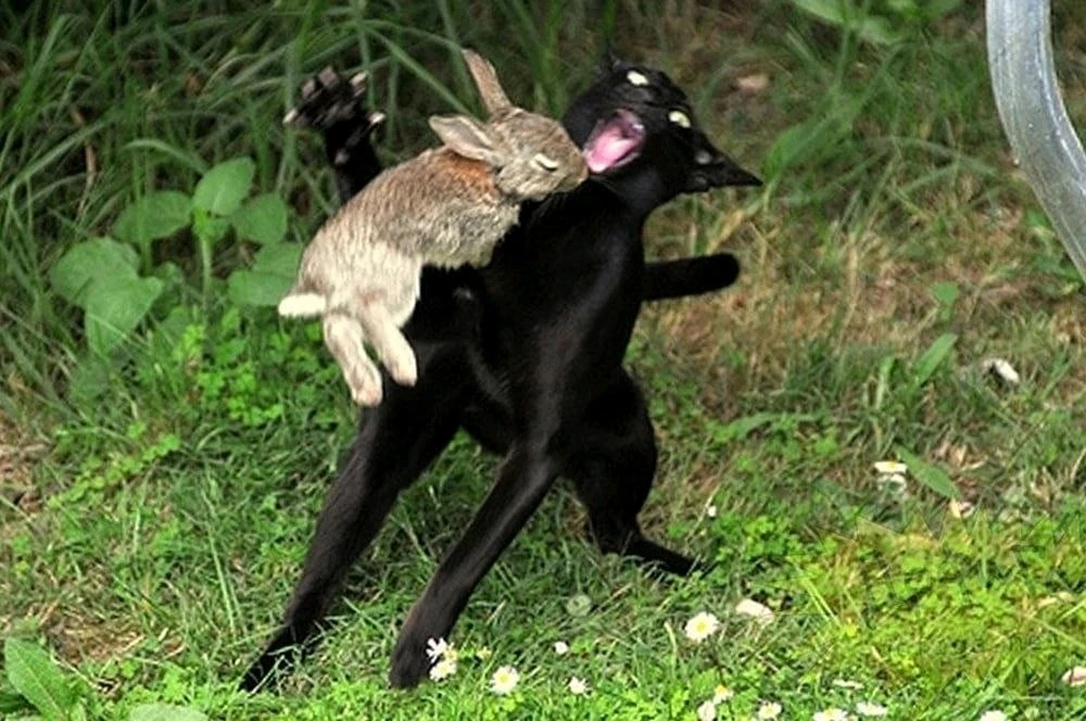 Zdjęcie dodane przez Mateusz