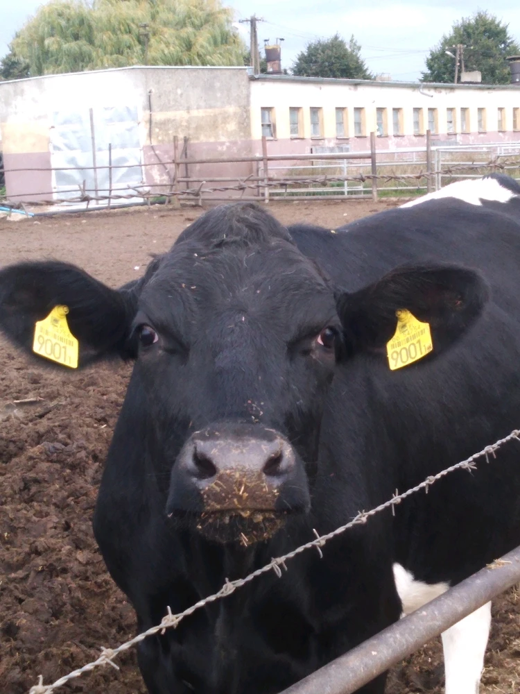 Image uploaded by Julia