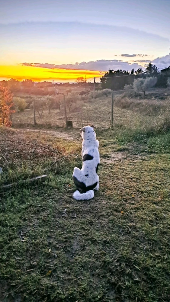 Immagine caricata da Aghartha86