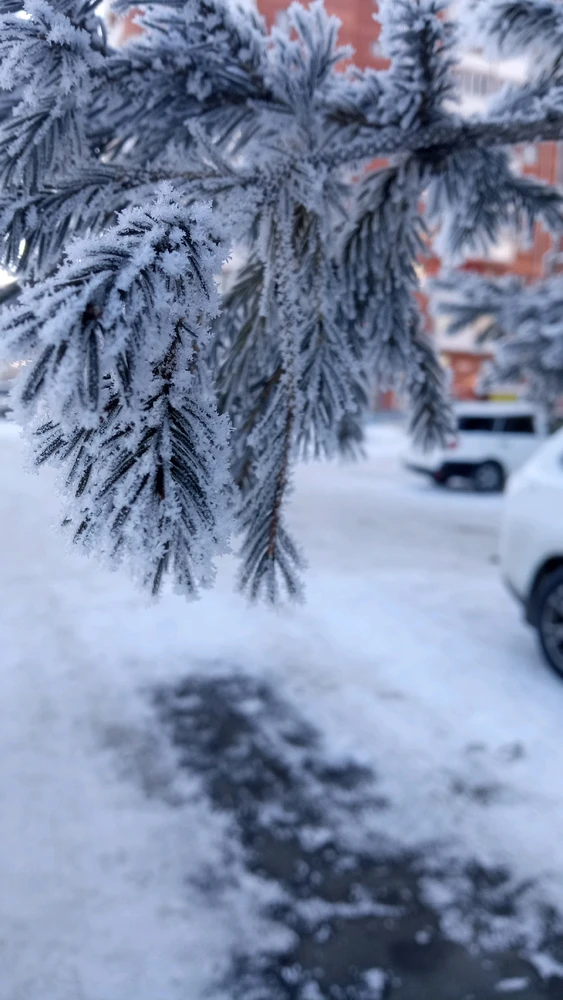 Image uploaded by Дарья