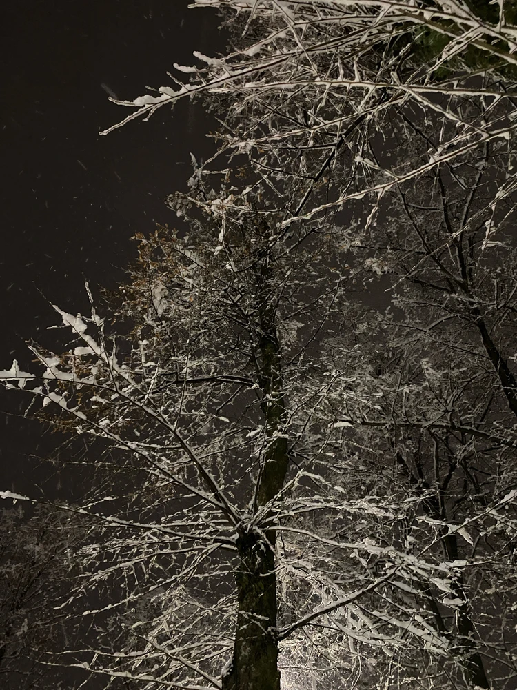 Zdjęcie dodane przez Izabela