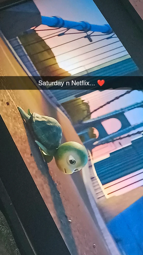 Paw Patrol: The Movie