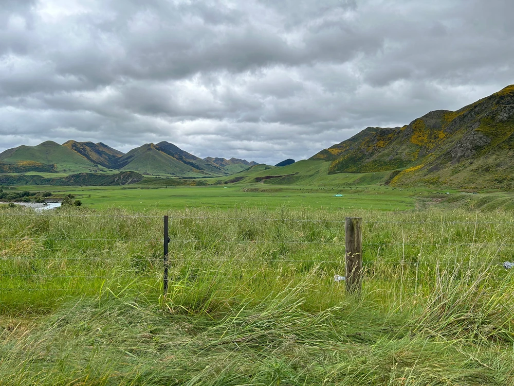 Image uploaded by Ashley