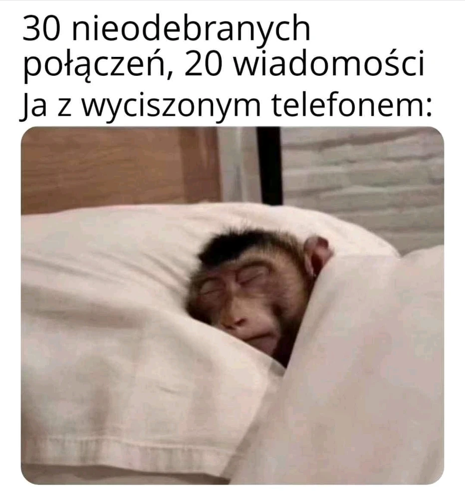 Zdjęcie dodane przez Antek