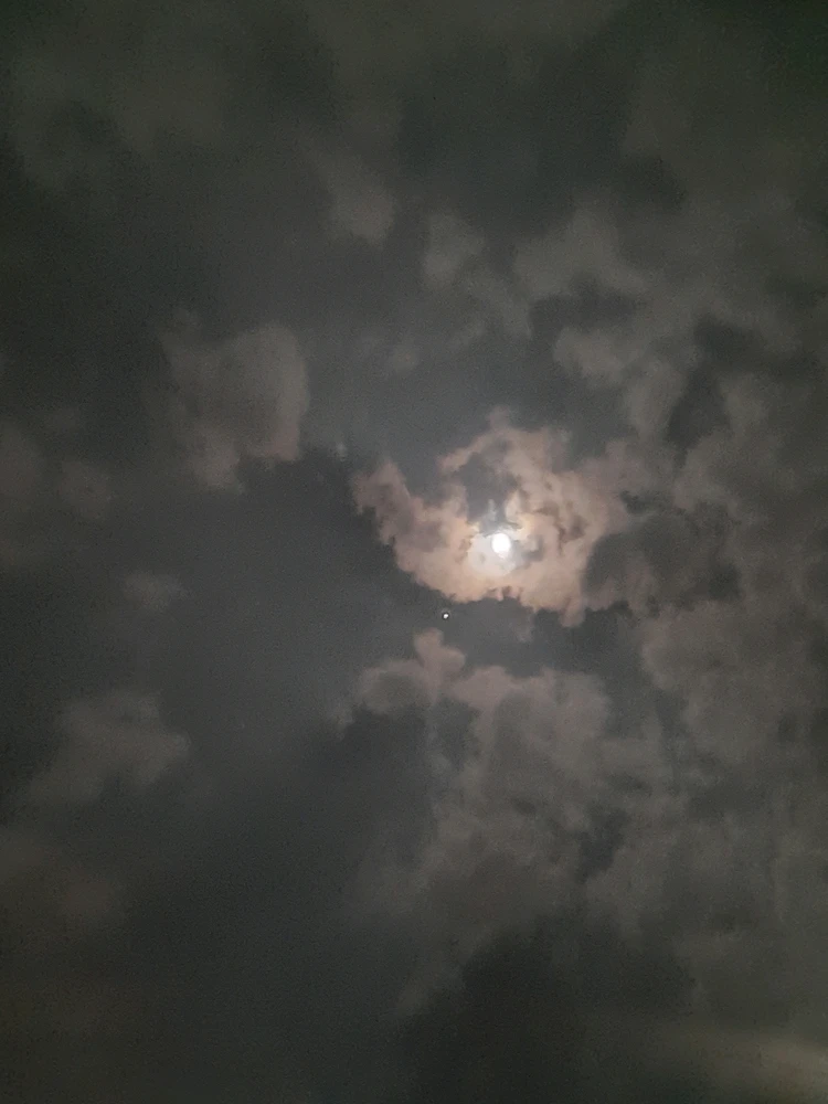 Image uploaded by Simba