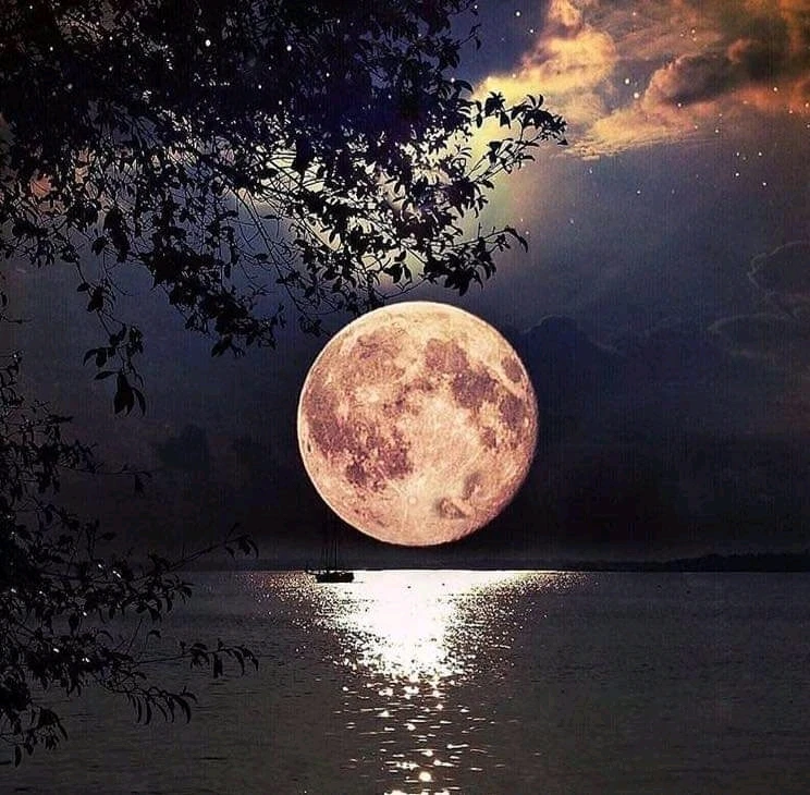 Image ajoutée par Beckiie