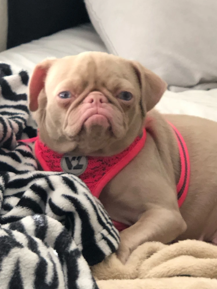 Image uploaded by ᥫ℞ᵞᴯ⩜ᴯᵞ perry