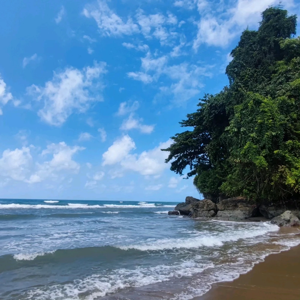 Image uploaded by Man