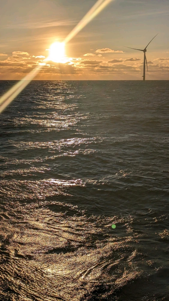 Image uploaded by Johnny